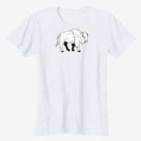Ladies' Softstyle® Fitted T-Shirt Thumbnail