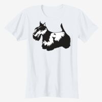 Ladies' Softstyle® Fitted T-Shirt Thumbnail