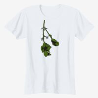 Ladies' Softstyle® Fitted T-Shirt Thumbnail