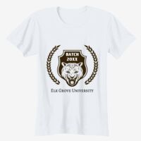 Ladies' Softstyle® Fitted T-Shirt Thumbnail