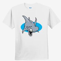 DryBlend® Youth 5.6 oz., 50/50 T-Shirt Thumbnail